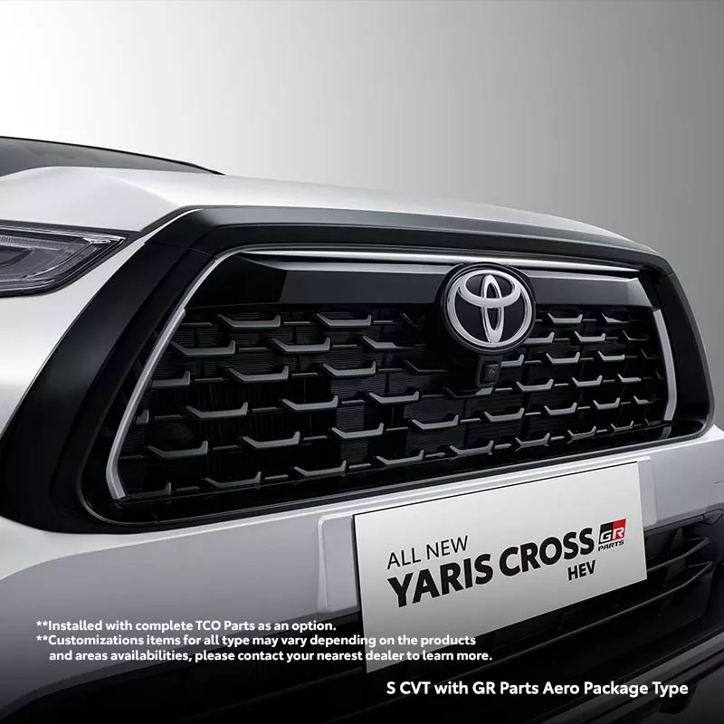 Front Inner Grill Sporty Ornament
