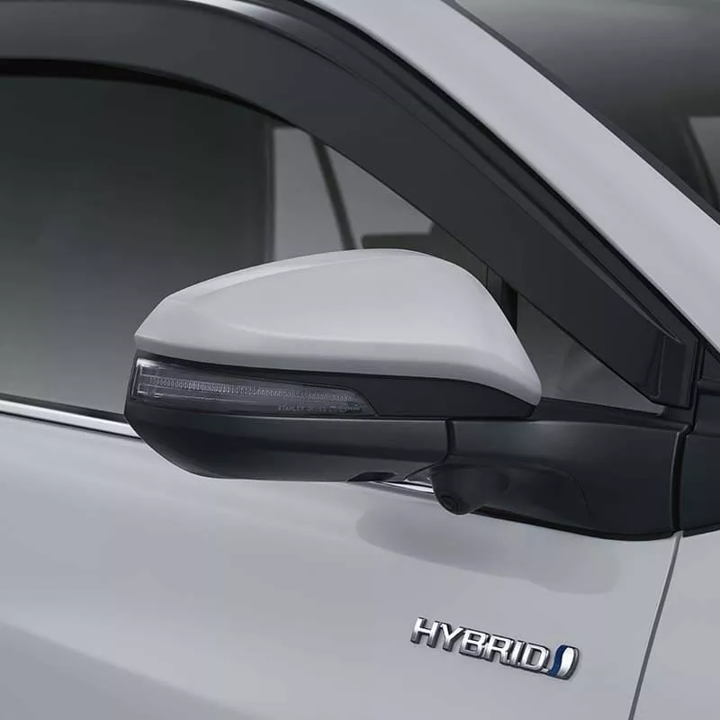 Black Outer Mirror Cover
