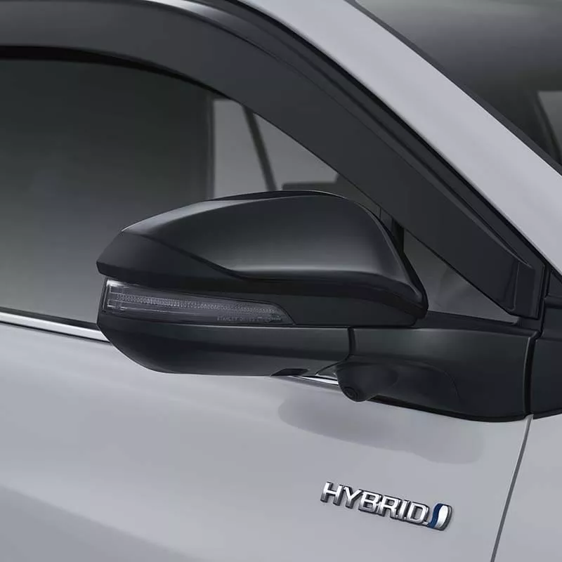 Black Outer Mirror Ornament