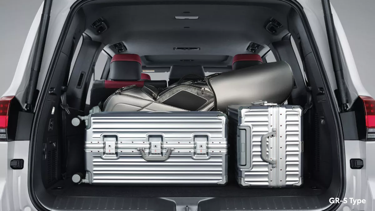 Expansive Luggage Room