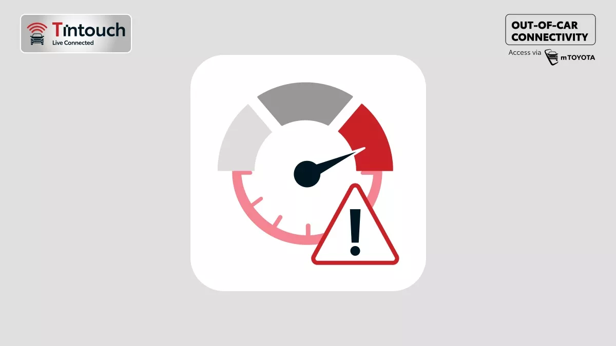 Speed & Idle Alert